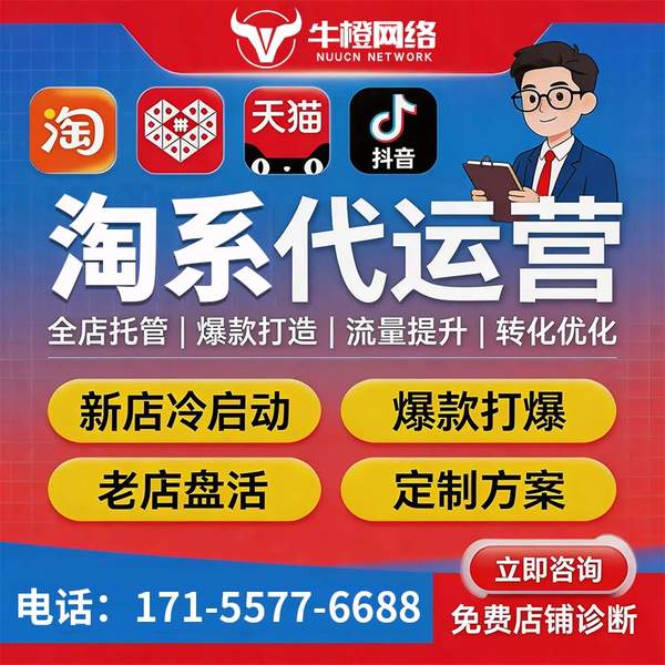 张家港电商代运营