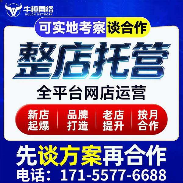 张家港电商代运营