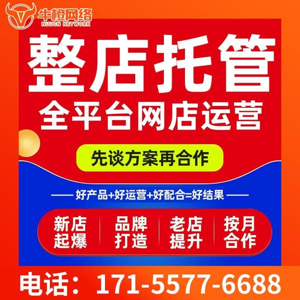 张家港电商代运营