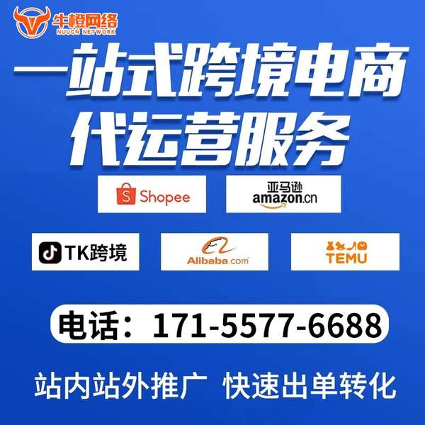 张家港电商代运营