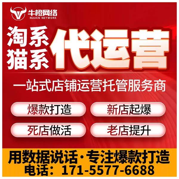 张家港电商代运营